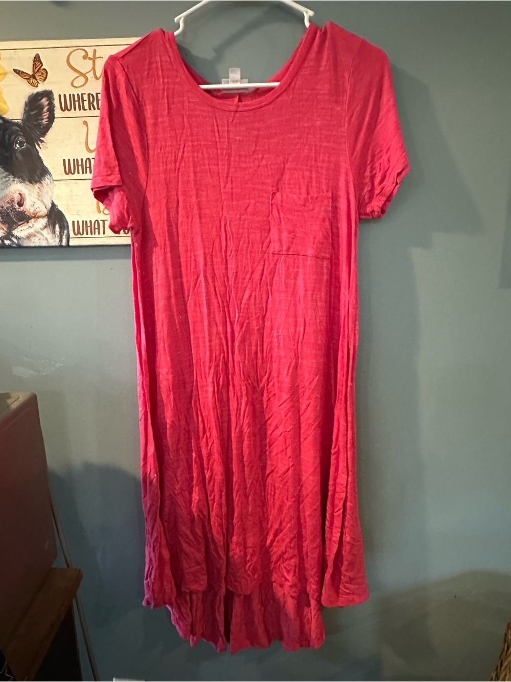 LuLaRoe Maxi Dress in Bright Pink